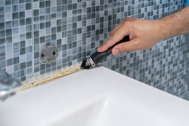 Best Residential Mold Removal  in Neuse Forest, NC